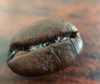 Does your coffee have mold in it?